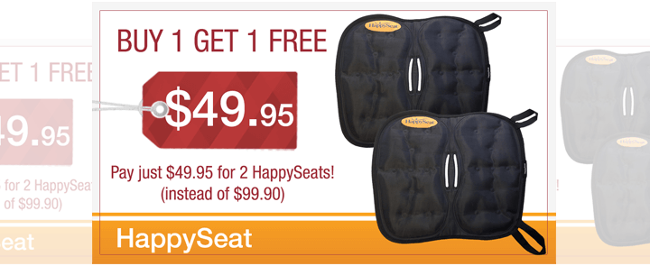 Buy 1 get 1 FREE!!! – HappySeat