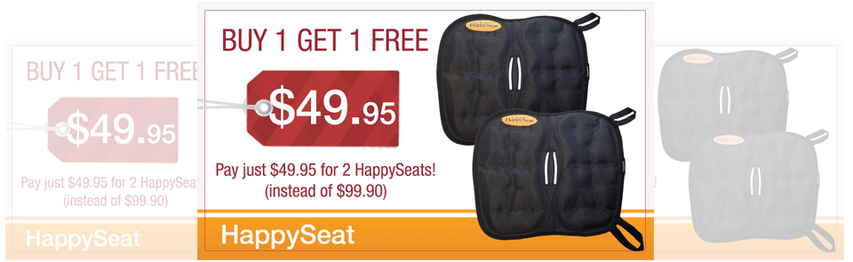 Buy 1 get 1 FREE!!! – HappySeat